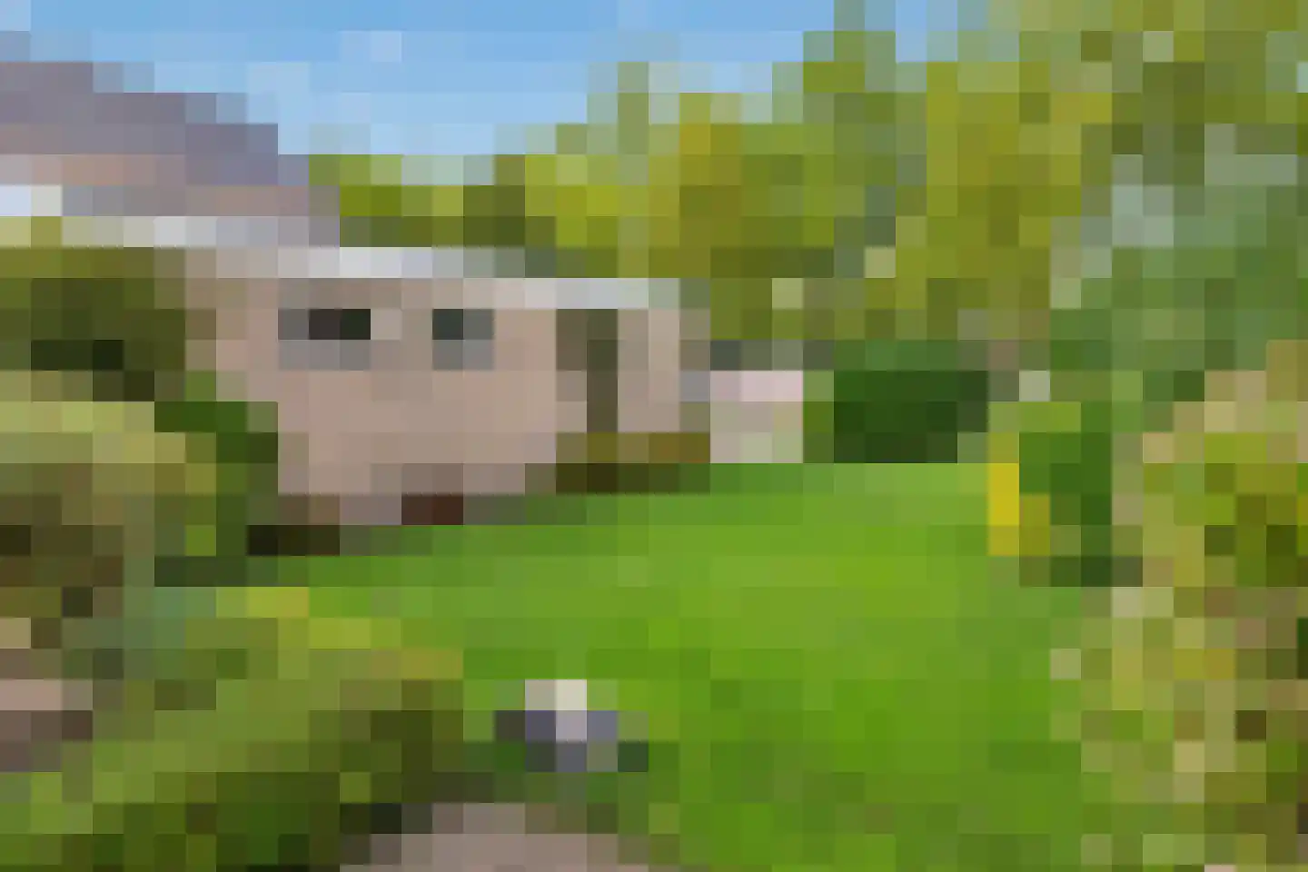 Lifgerusstraat 9 Raalte thumbnail 39