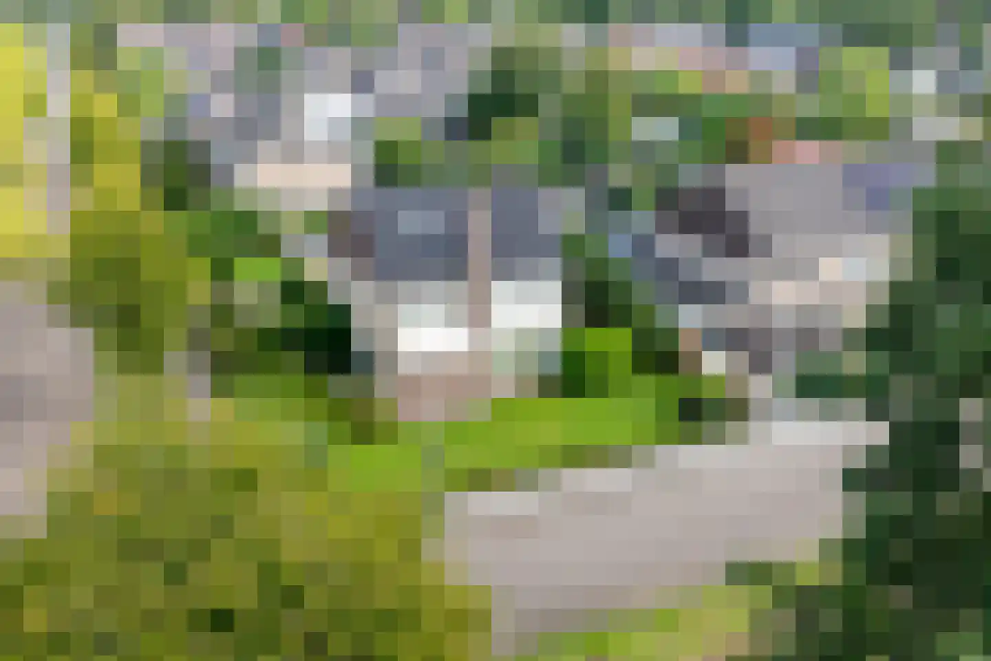 Lifgerusstraat 9 Raalte thumbnail 5