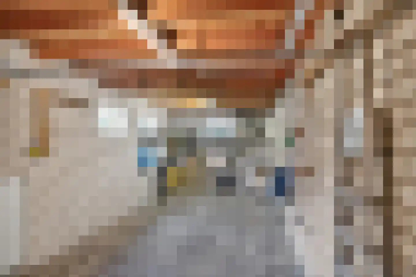 Lifgerusstraat 9 Raalte thumbnail 46