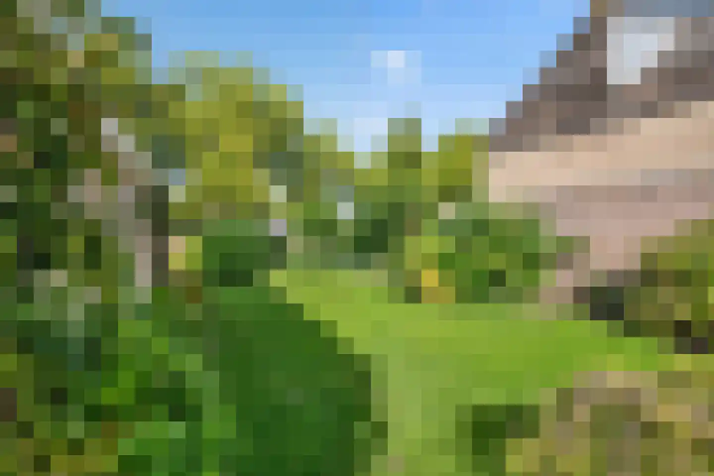 Lifgerusstraat 9 Raalte thumbnail 48