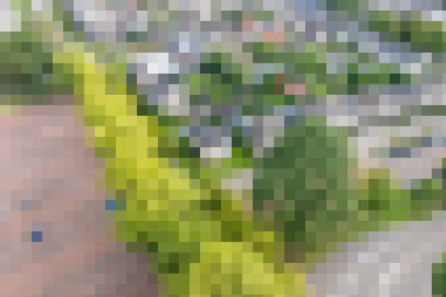 Lifgerusstraat 9 Raalte thumbnail 6