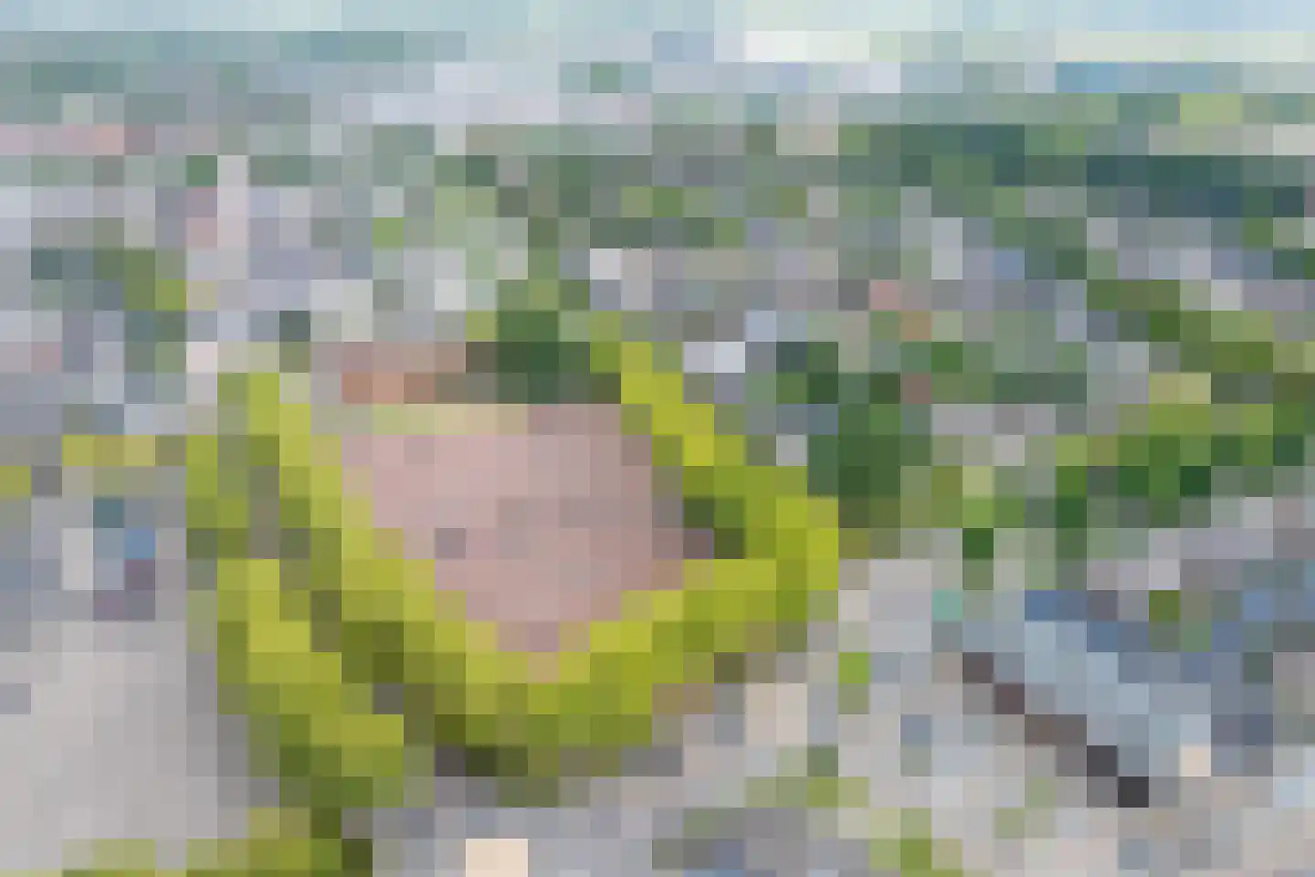 Lifgerusstraat 9 Raalte thumbnail 7