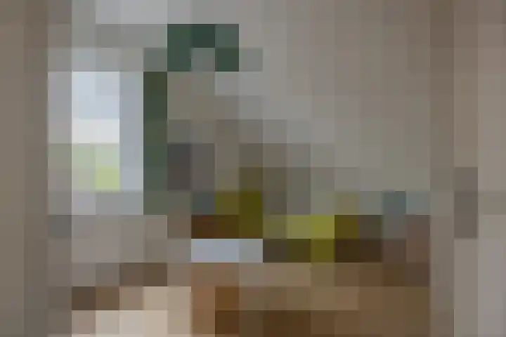 Lignelaan 10 Grootegast thumbnail 29