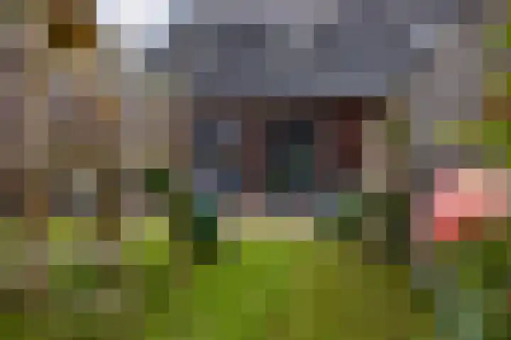 Lignelaan 10 Grootegast thumbnail 43