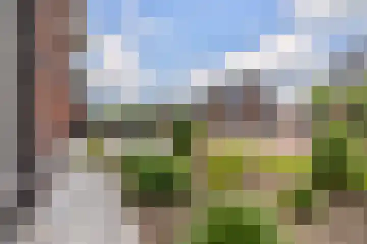 Lignelaan 10 Grootegast thumbnail 5