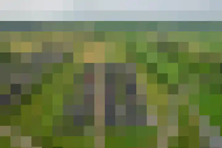 Lignelaan 10 Grootegast thumbnail 57