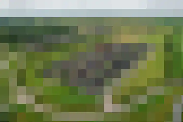Lignelaan 10 Grootegast thumbnail 6