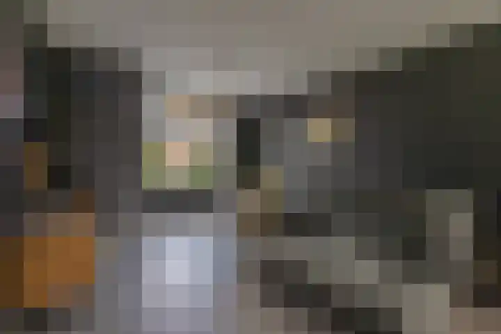 Lignelaan 18 Grootegast thumbnail 11