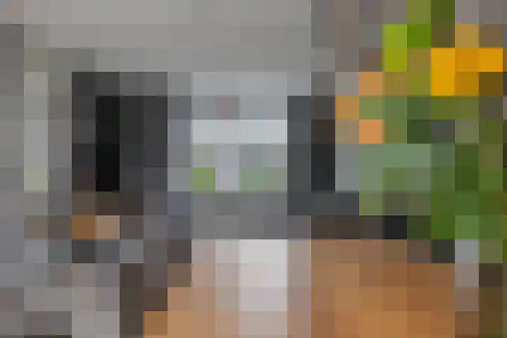 Lignelaan 18 Grootegast thumbnail 18