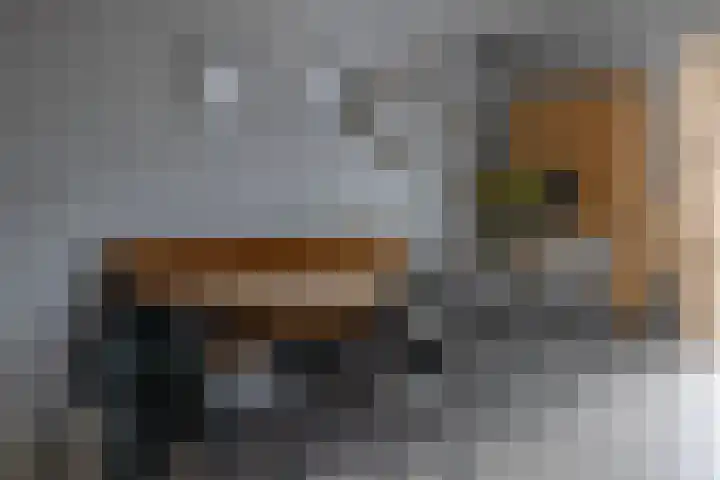 Lignelaan 18 Grootegast thumbnail 19