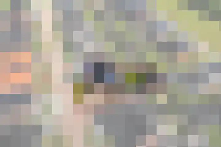 Lignelaan 18 Grootegast thumbnail 6