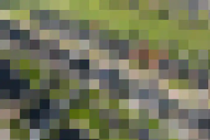 Lignelaan 18 Grootegast thumbnail 62