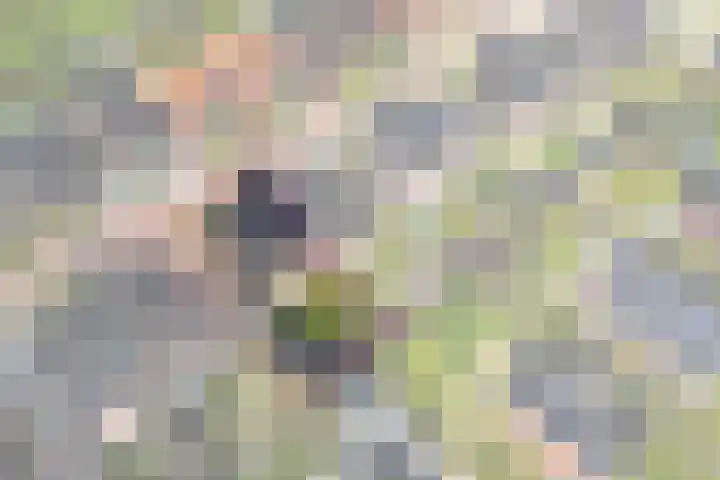 Lignelaan 18 Grootegast thumbnail 7