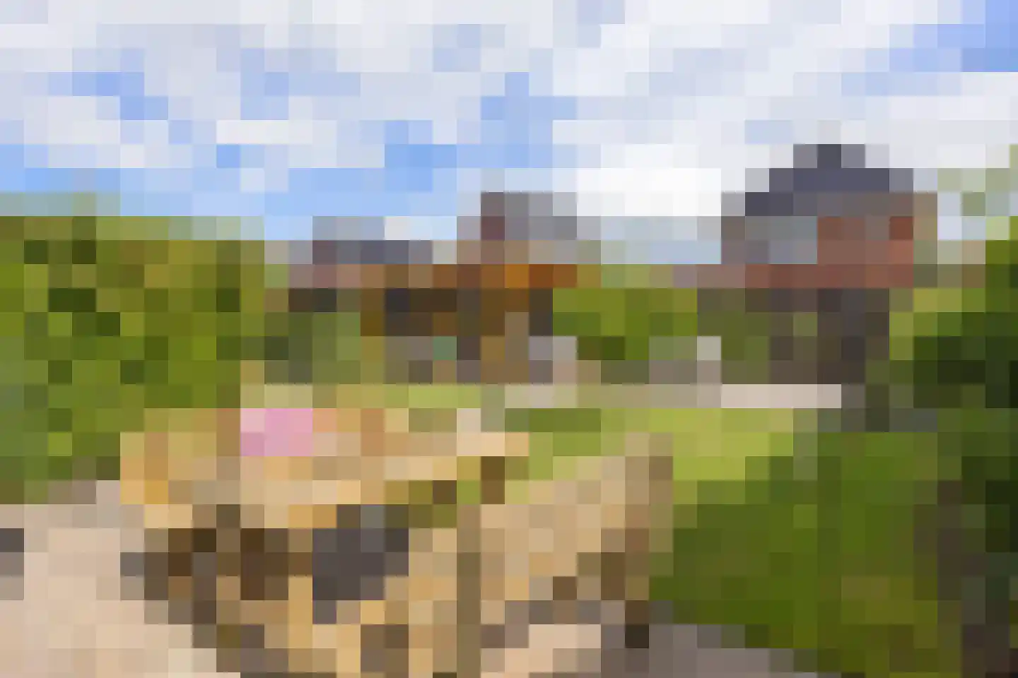 Lignelaan 20 Grootegast thumbnail 34