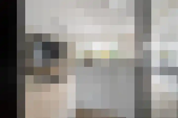 Lignelaan 31 Grootegast thumbnail 12