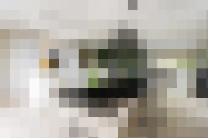 Lignelaan 31 Grootegast thumbnail 13