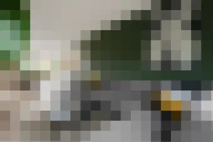 Lignelaan 31 Grootegast thumbnail 18