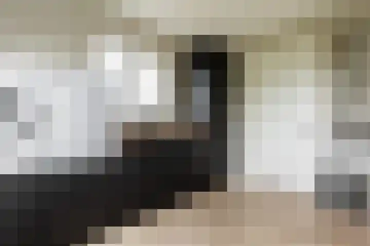 Lignelaan 31 Grootegast thumbnail 27