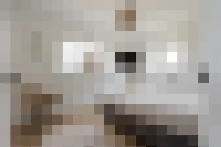 Lignelaan 31 Grootegast thumbnail 34