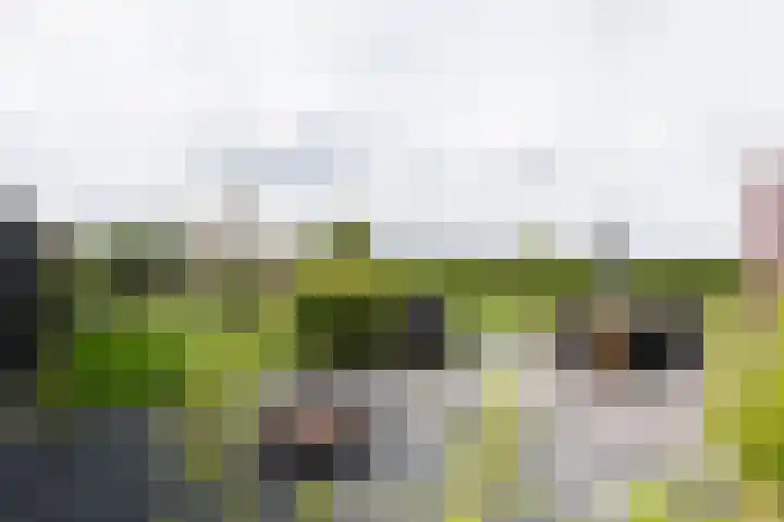 Lignelaan 31 Grootegast thumbnail 54