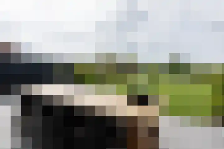 Lignelaan 31 Grootegast thumbnail 55