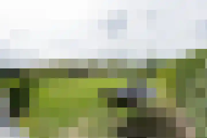 Lignelaan 31 Grootegast thumbnail 56
