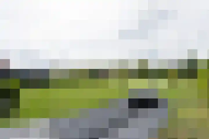 Lignelaan 31 Grootegast thumbnail 57