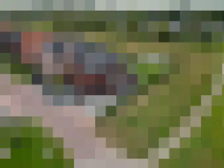 Lignelaan 31 Grootegast thumbnail 62