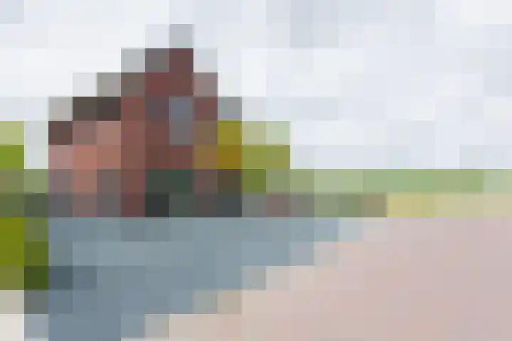 Lignelaan 31 Grootegast thumbnail 64