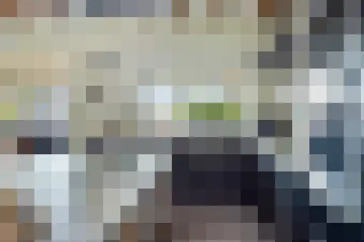 Ligneweg 11 Steenbergen thumbnail 12
