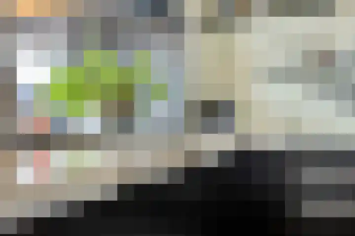 Ligneweg 11 Steenbergen thumbnail 13