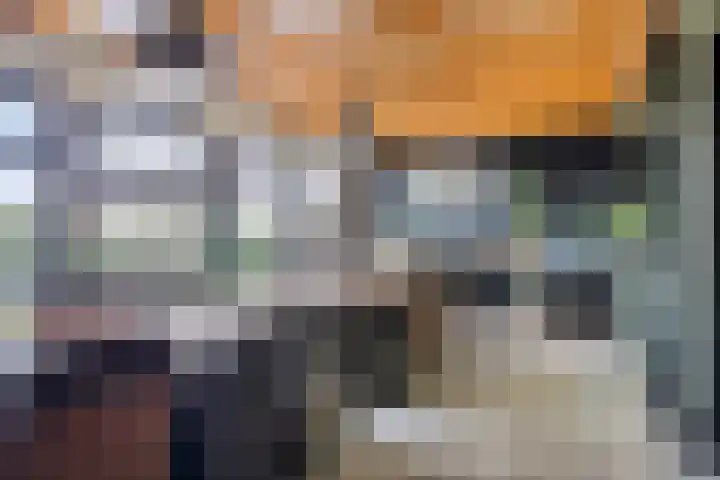 Ligneweg 11 Steenbergen thumbnail 14