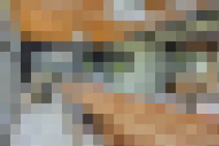 Ligneweg 11 Steenbergen thumbnail 15