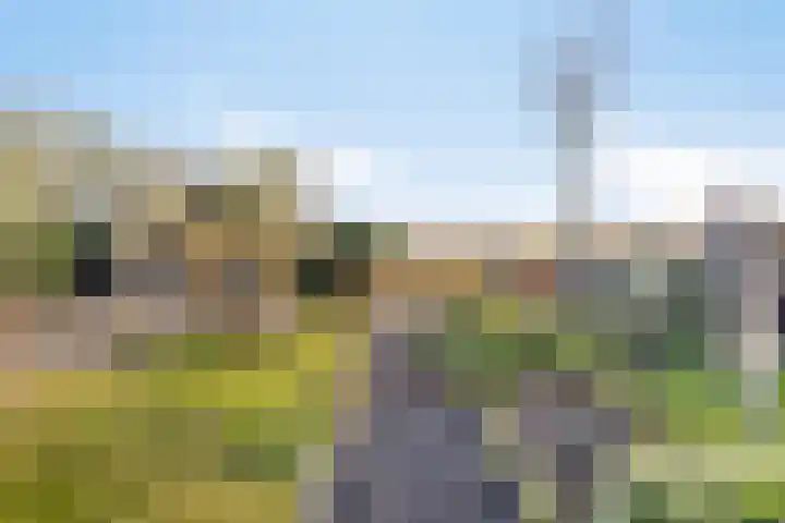 Ligneweg 11 Steenbergen thumbnail 25
