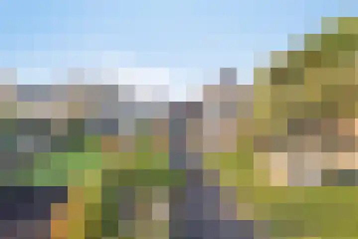 Ligneweg 11 Steenbergen thumbnail 26