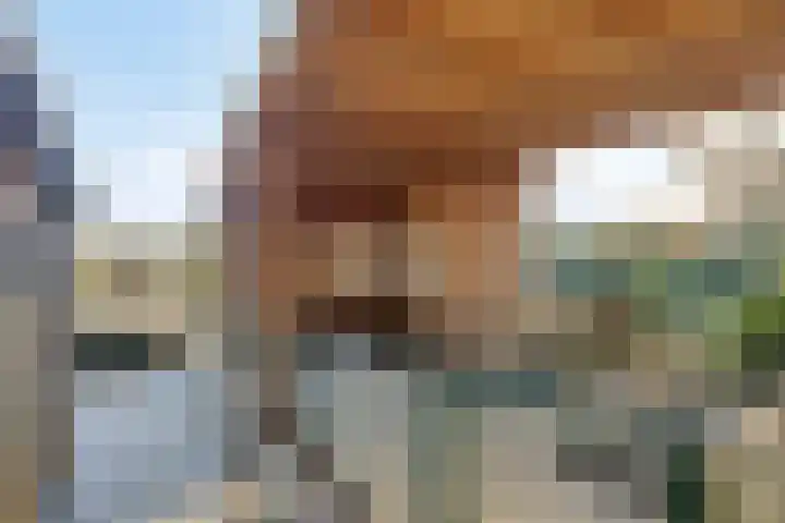 Ligneweg 11 Steenbergen thumbnail 29