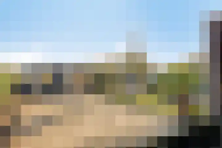 Ligneweg 11 Steenbergen thumbnail 30