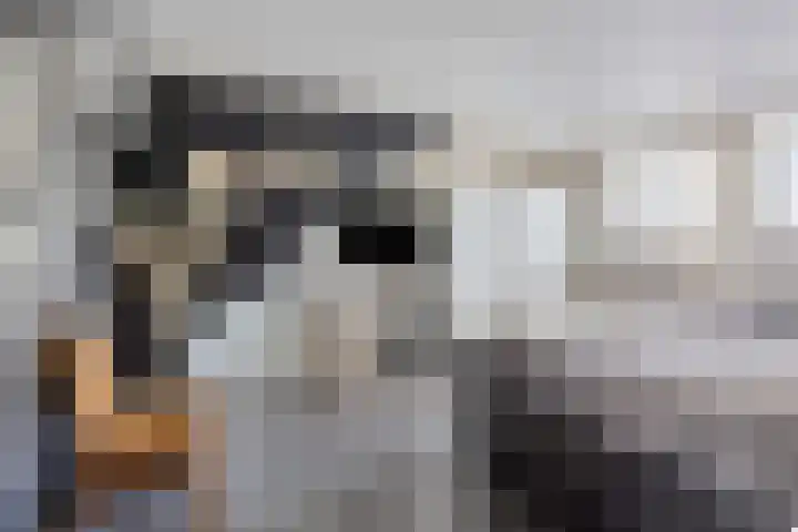 Ligneweg 11 Steenbergen thumbnail 5