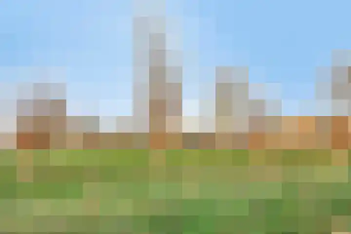 Ligneweg 11 Steenbergen thumbnail 53