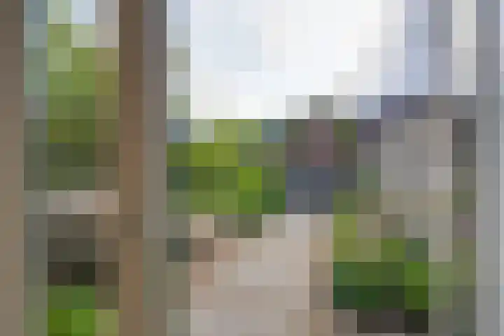 Ligtelijnweg 16 Loenen aan de Vecht thumbnail 20