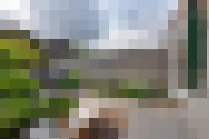 Ligtelijnweg 16 Loenen aan de Vecht thumbnail 22
