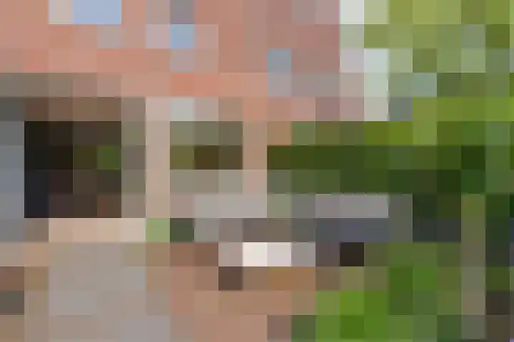 Ligtelijnweg 16 Loenen aan de Vecht thumbnail 23