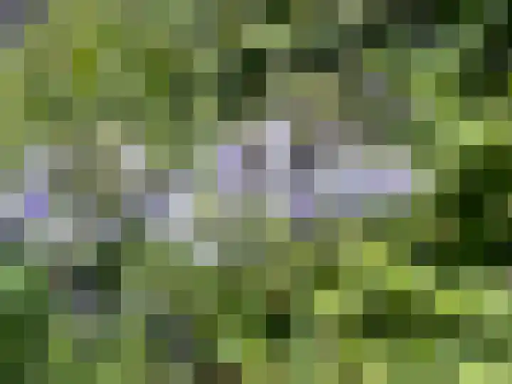Ligtelijnweg 16 Loenen aan de Vecht thumbnail 24