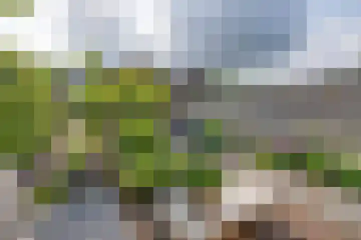 Ligtelijnweg 16 Loenen aan de Vecht thumbnail 25