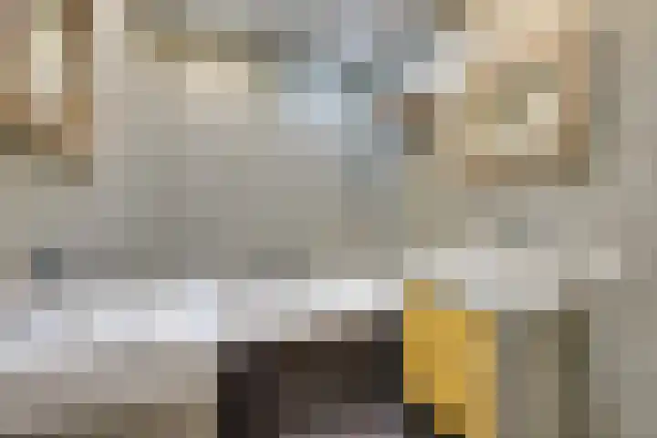 Ligtelijnweg 16 Loenen aan de Vecht thumbnail 35