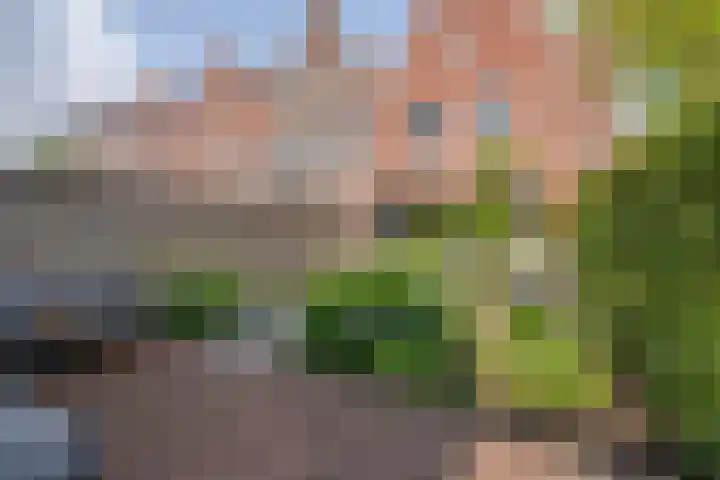 Ligtelijnweg 16 Loenen aan de Vecht thumbnail 45