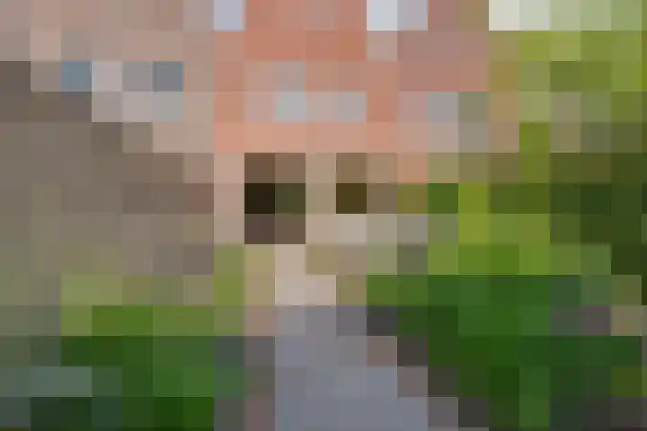 Ligtelijnweg 16 Loenen aan de Vecht thumbnail 47