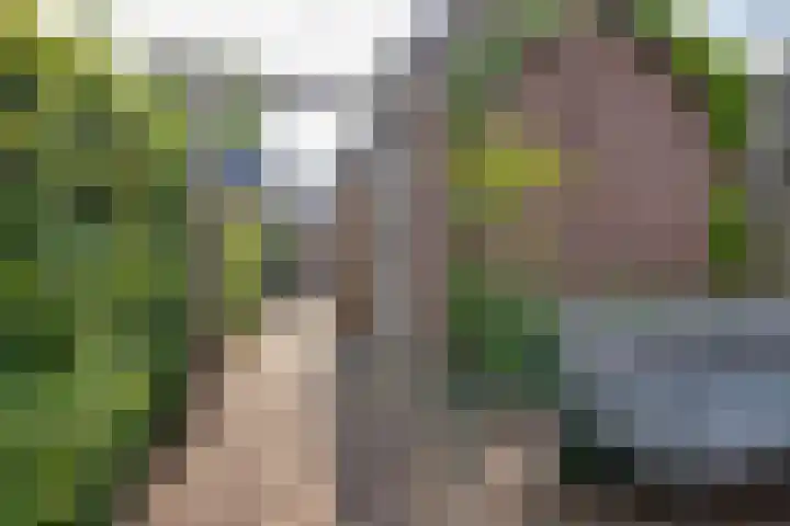 Ligtelijnweg 16 Loenen aan de Vecht thumbnail 48