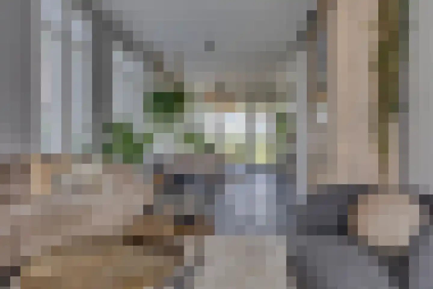 Ligtelijnweg 17 Loenen aan de Vecht thumbnail 11