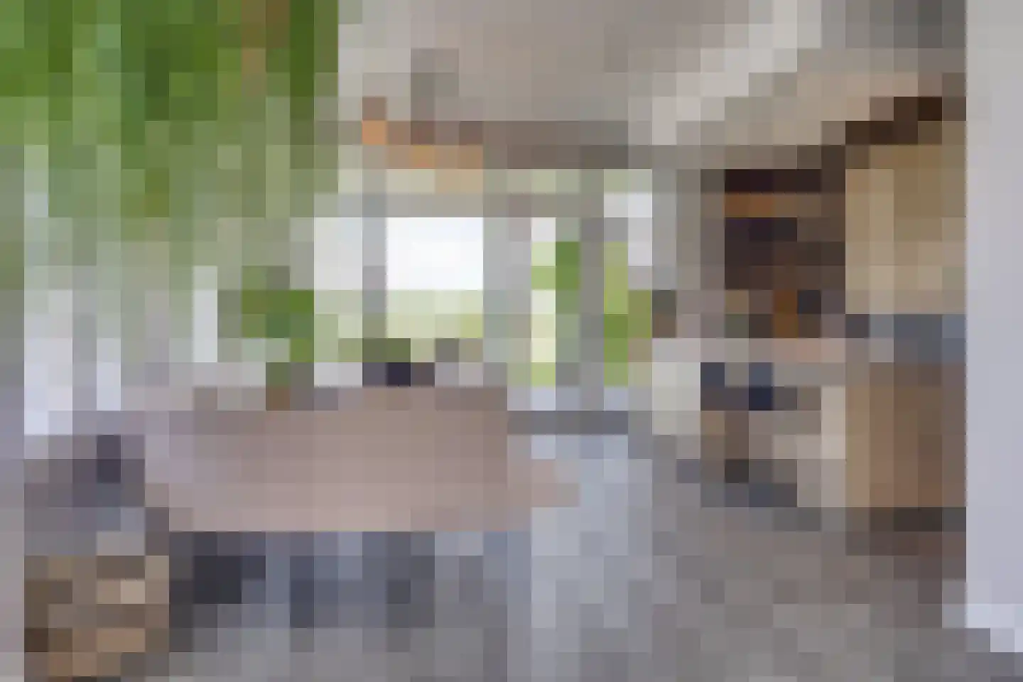 Ligtelijnweg 17 Loenen aan de Vecht thumbnail 12